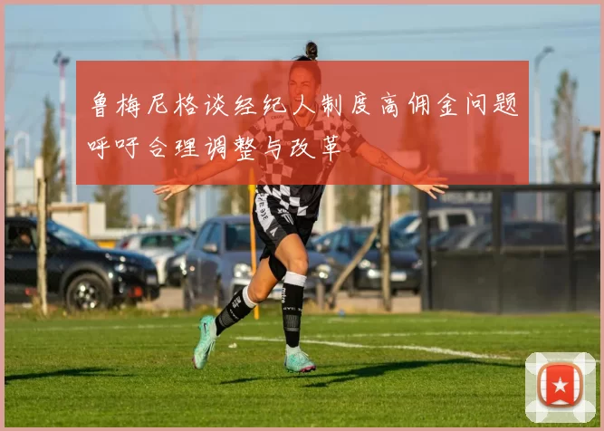 鲁梅尼格谈经纪人制度高佣金问题呼吁合理调整与改革